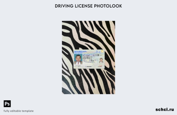 цифровая загрузка шаблона FRONT США Мичиган DL Photolook
